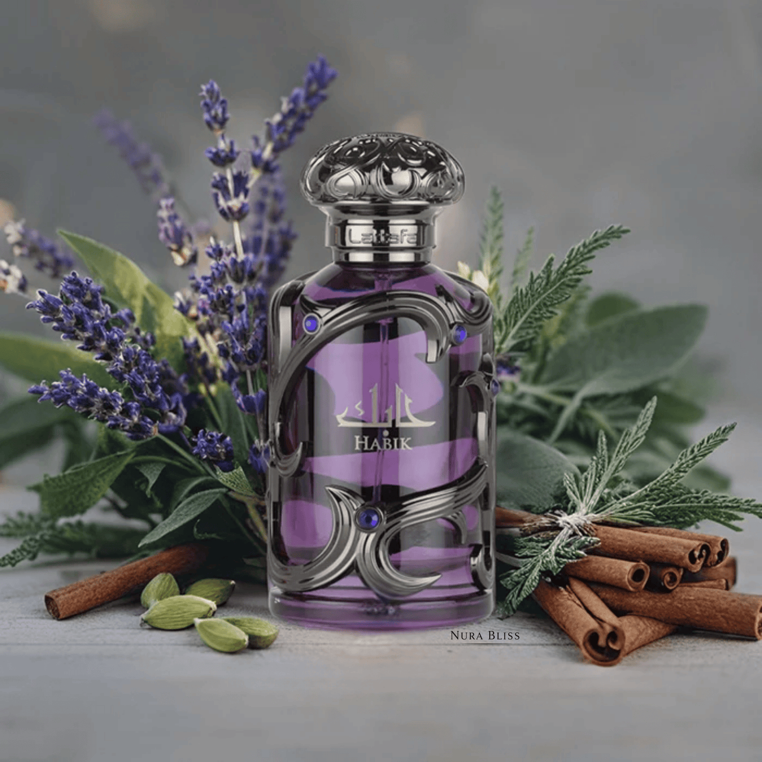 HABIK FOR MEN 100ml EDP